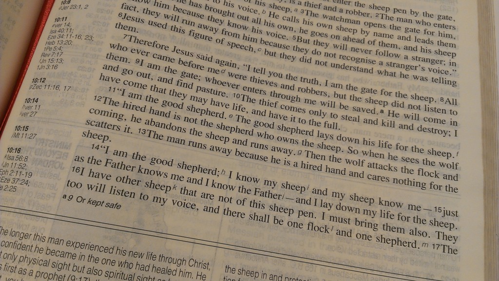 Verse Of The Week John 10 v 9 - 11