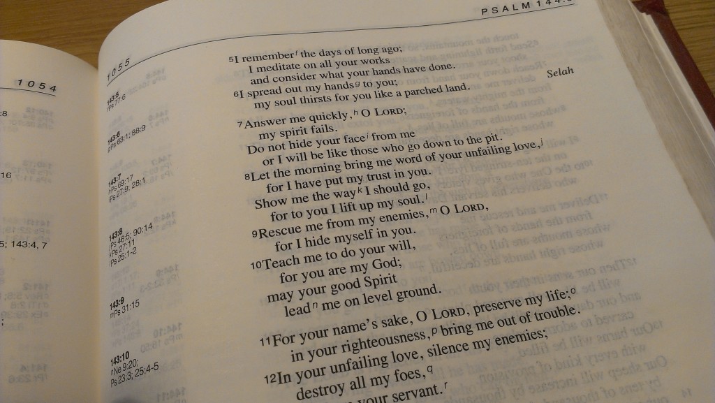 Verse of the Week Psalm 143 v 8-10