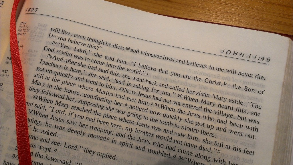 Verse of the week John 11v25 & 26