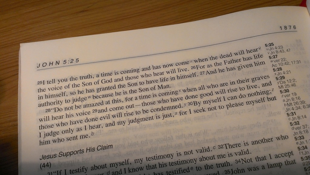 Verse of the week John 5 v 24-27