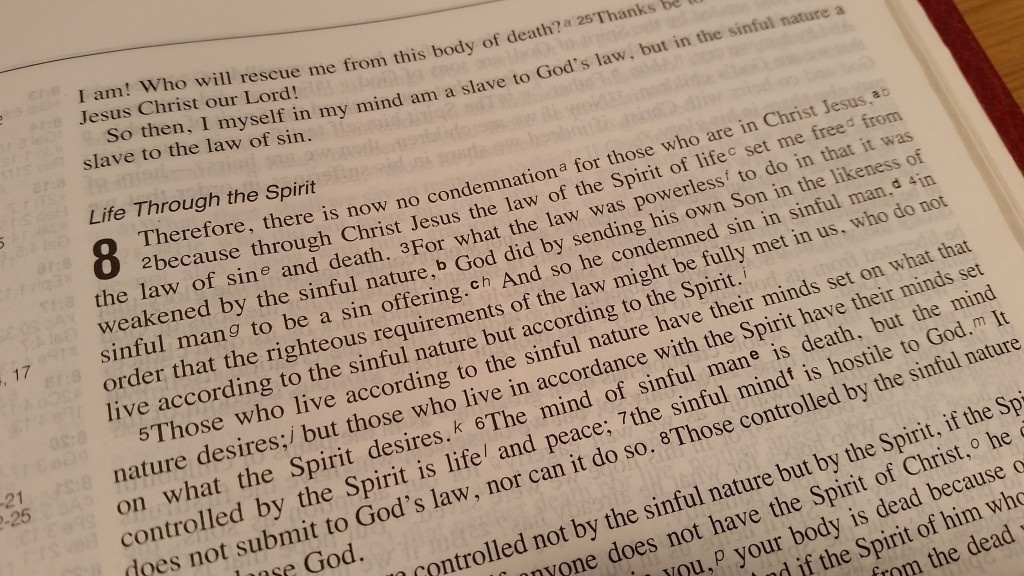 Verse Of The Week Romans 8 v 1-3