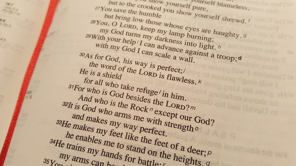 Verse of the week Psalm 18 v 30 - 32