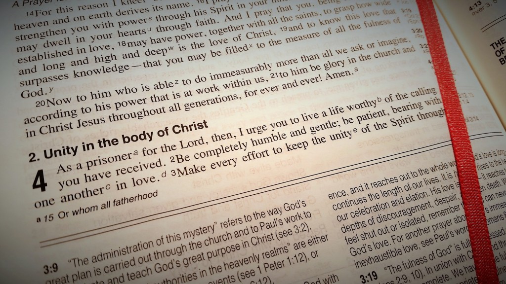 Verse of the week 22nd February 2016