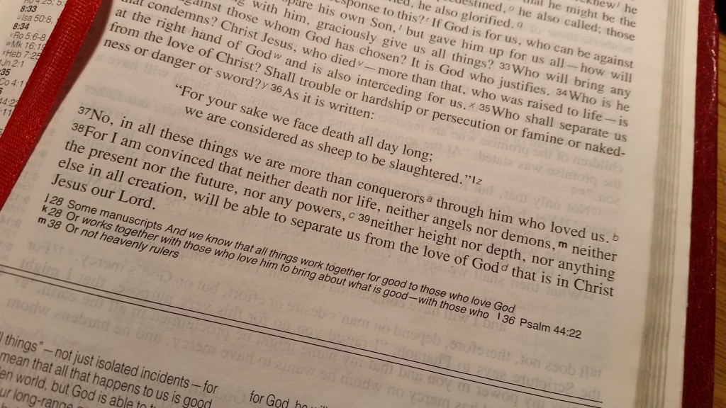 Verse of the week 11th April 2016