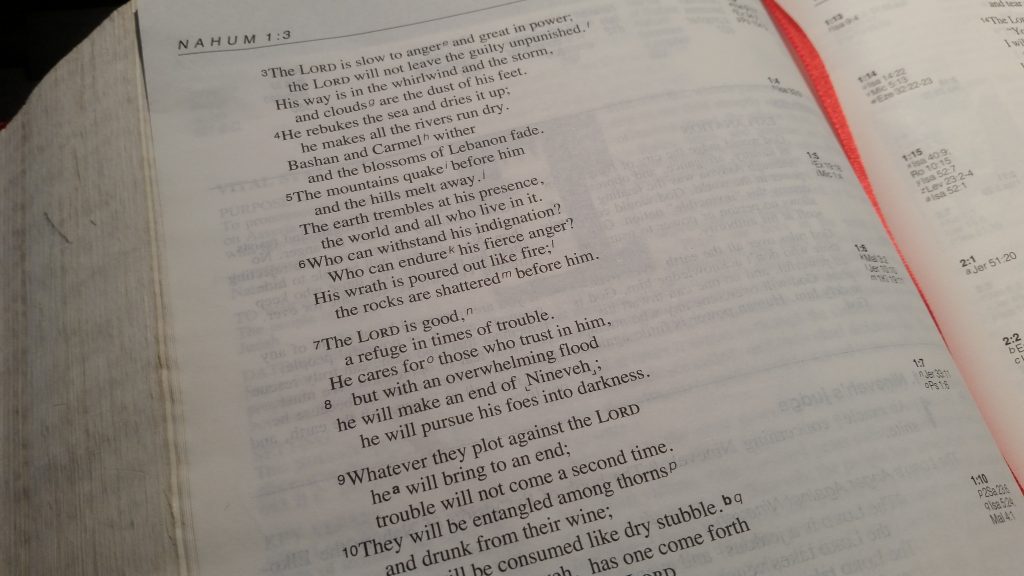 Verse Of The Week | 1st May 2017