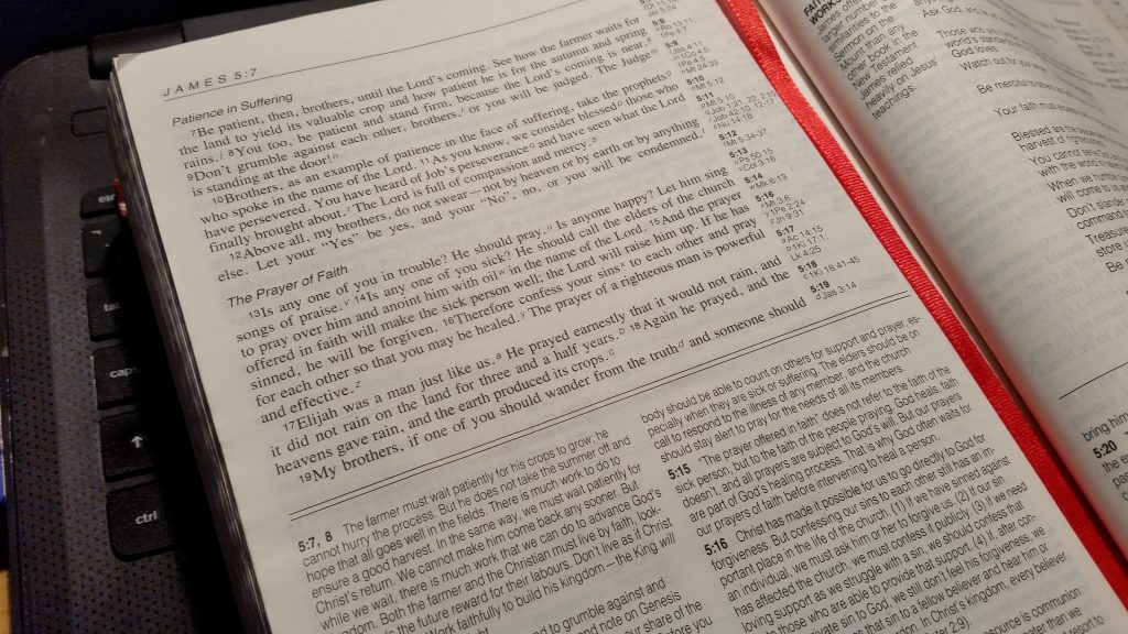 Verse Of The Week | 13th November 2017