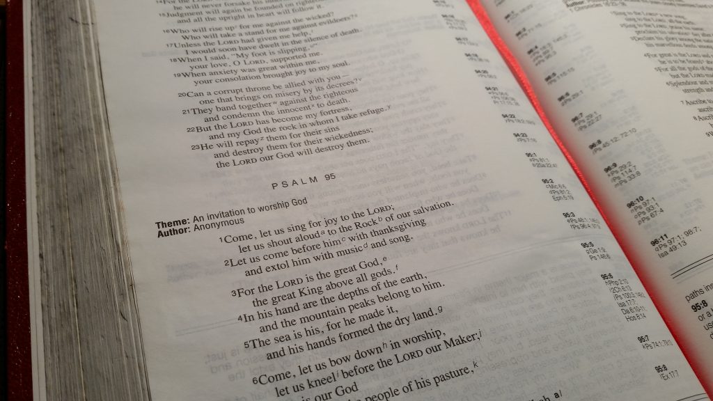 Verse Of The Week | 20th November 2017