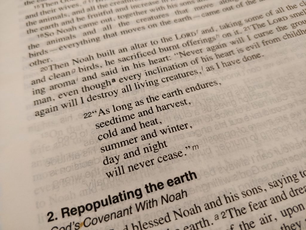 Verse Of The Week | 8th October 2018