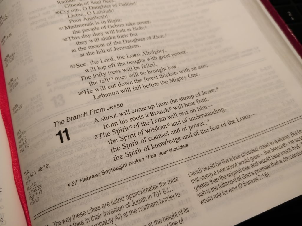 Verse Of The Week | 3rd December 2018