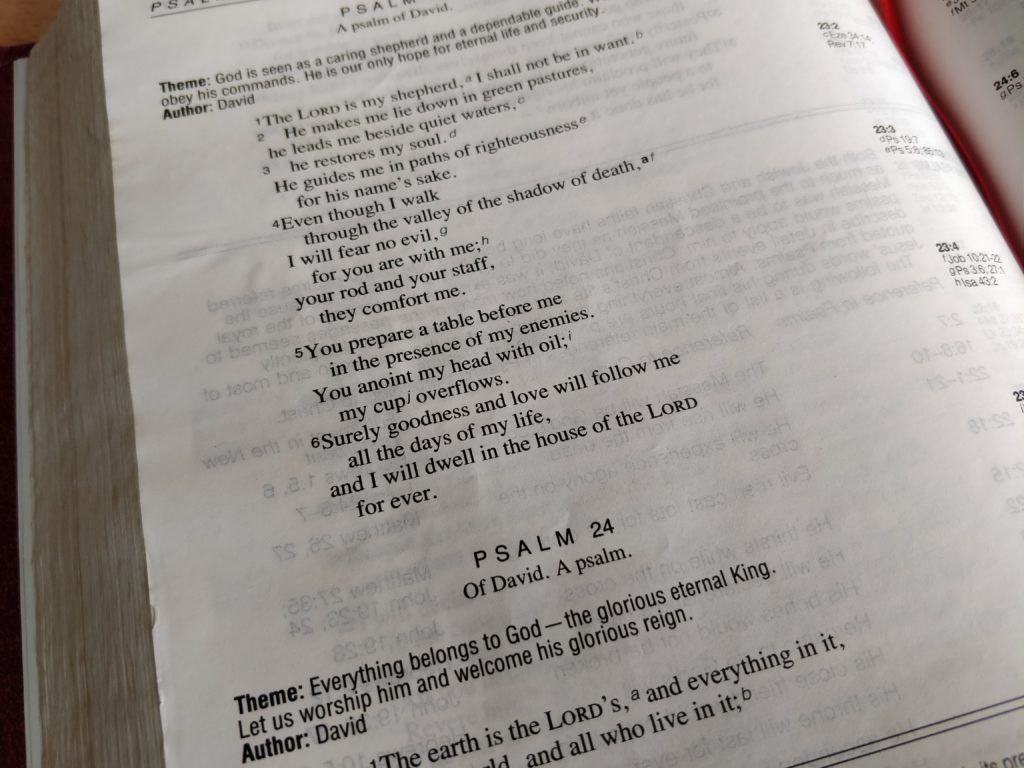 Verse Of The Week | 24th June 2019