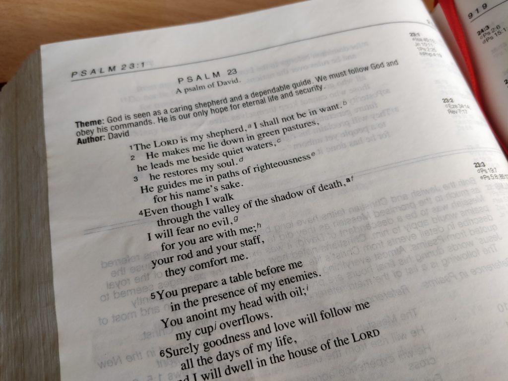 Verse Of The Week | 17th June 2019